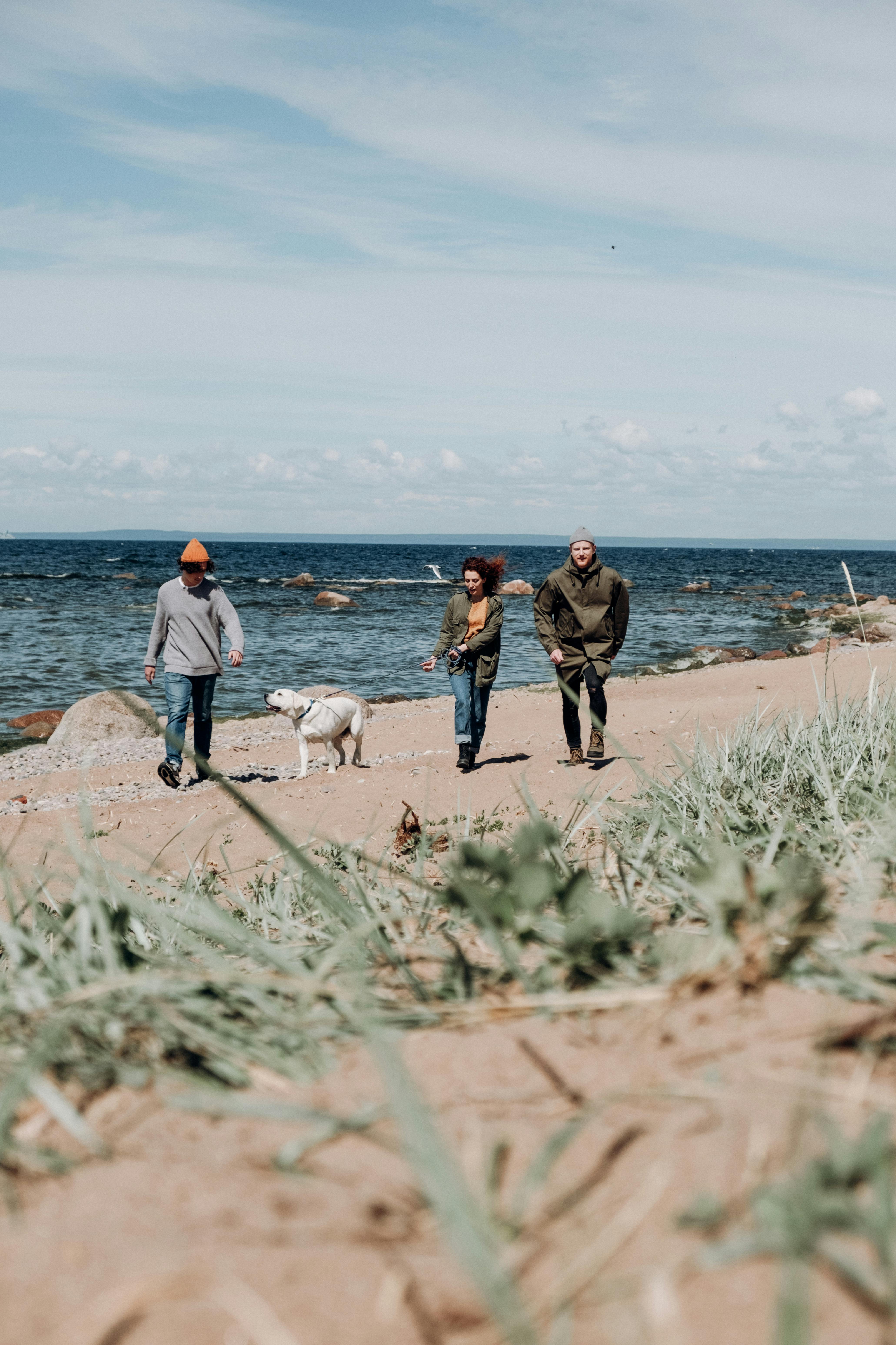 Owner pouring cool water over a dog's back to cool them down